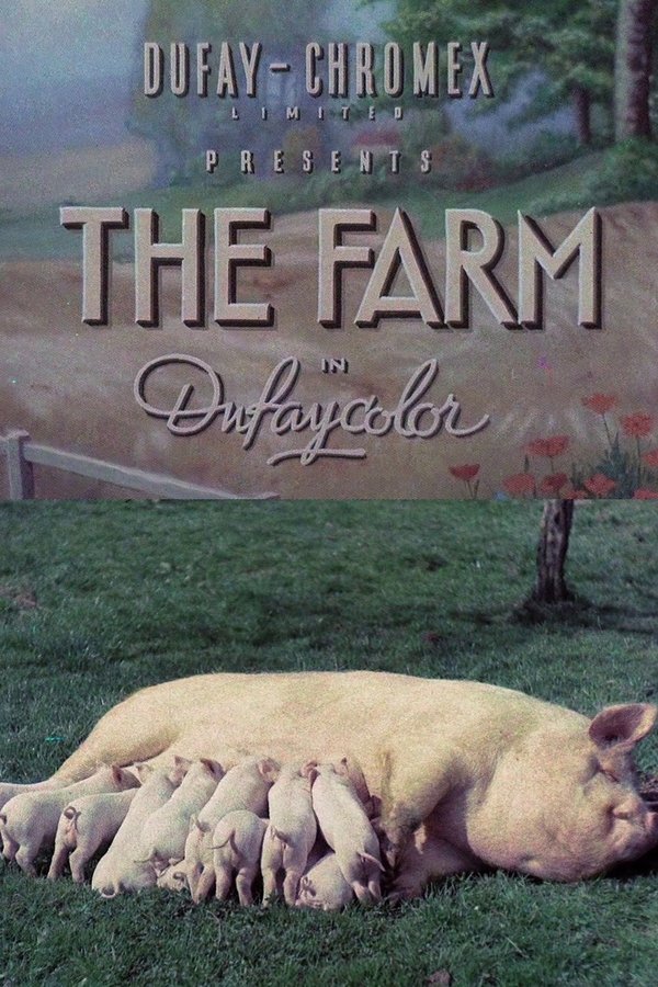 The Farm poster