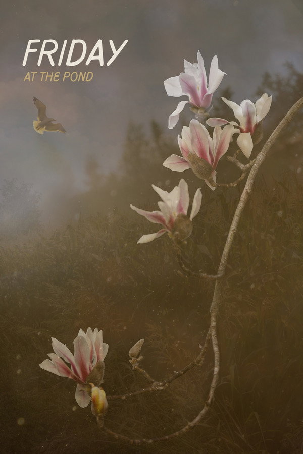 Friday At The Pond