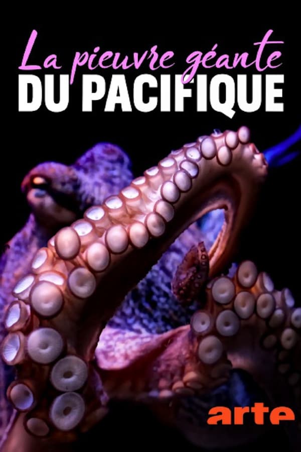 La pieuvre géante du Pacifique