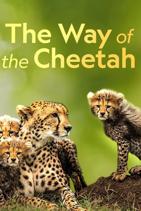 D+ - The Way of the Cheetah  (2022)