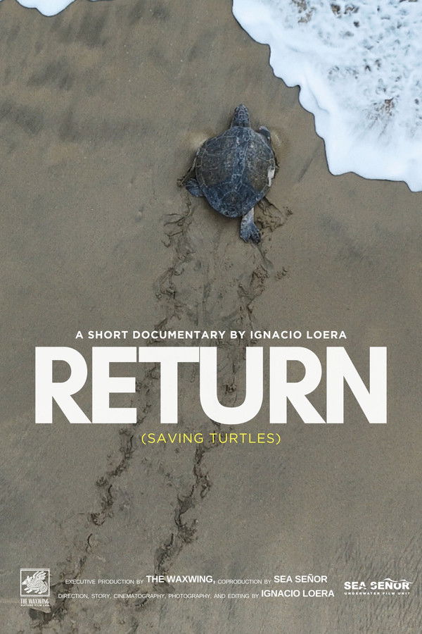 Return: Saving Turtles