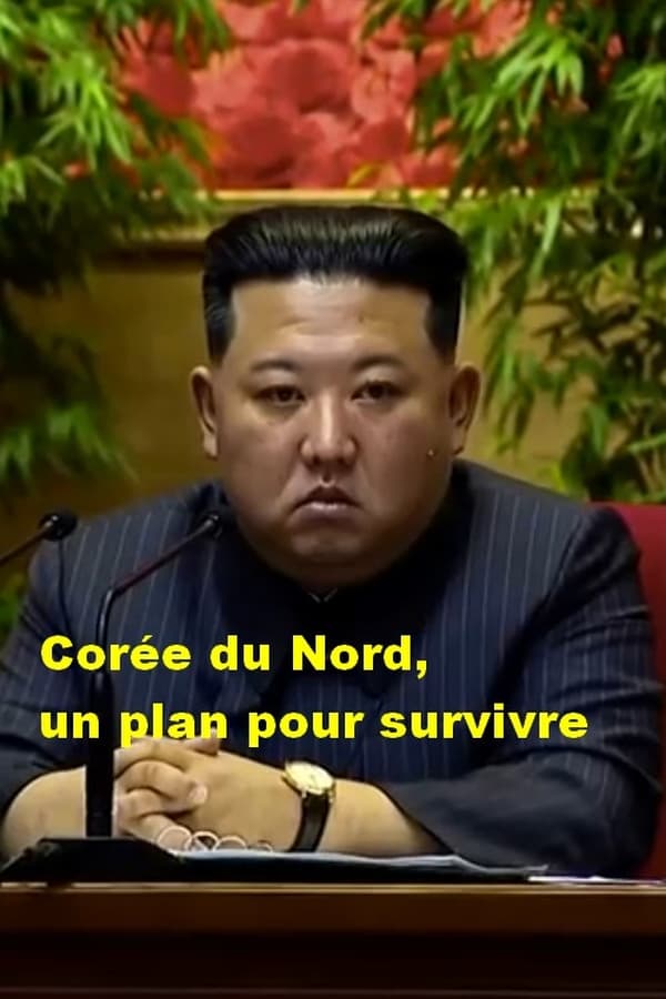 TVplus FR - Corée du Nord, un plan pour survivre (2023)
