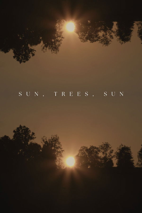 Sun, Trees, Sun