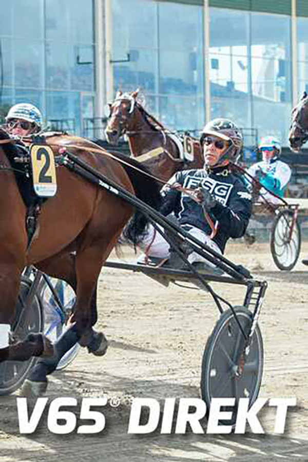 ATG: V65 Direkt (2024) SE