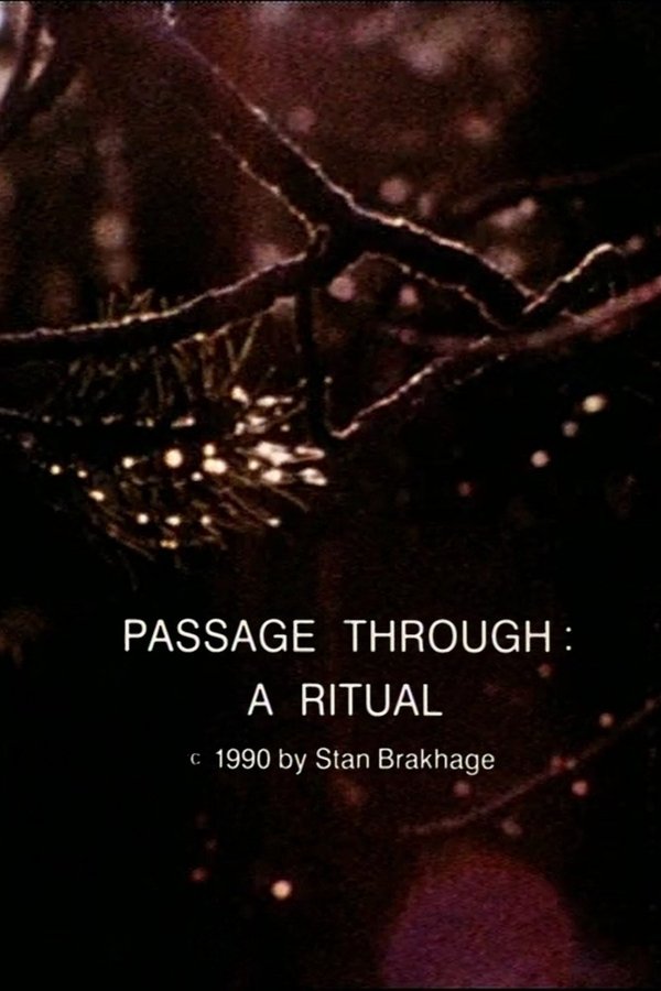Passage Through: A Ritual poster