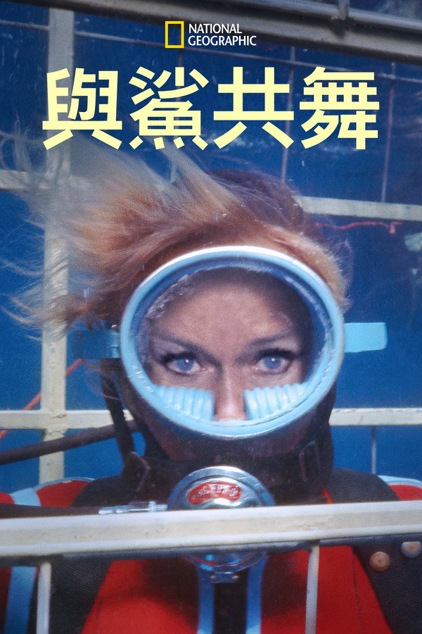 与鲨共舞