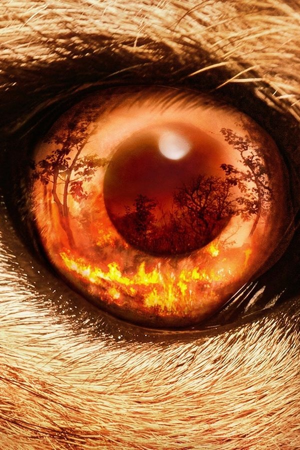 Predators – S01E01 – Episodio 1