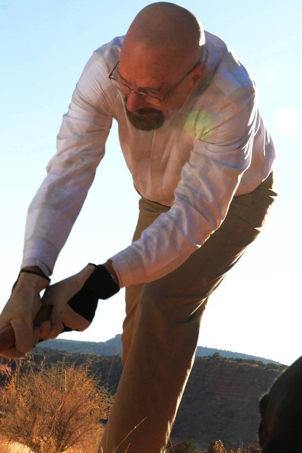 Breaking Bad – Reazioni collaterali – S05E10 – Questioni di famiglia