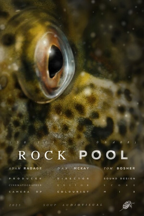 ROCK POOL