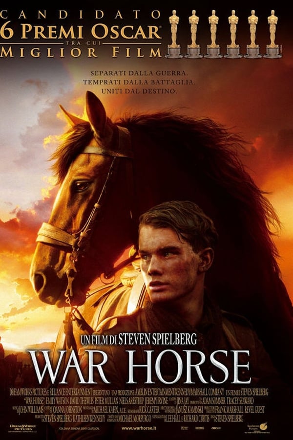 War Horse