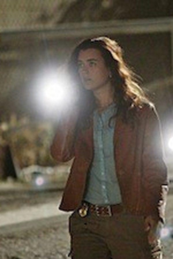 NCIS – Unità anticrimine – S07E22 – Terra di confine