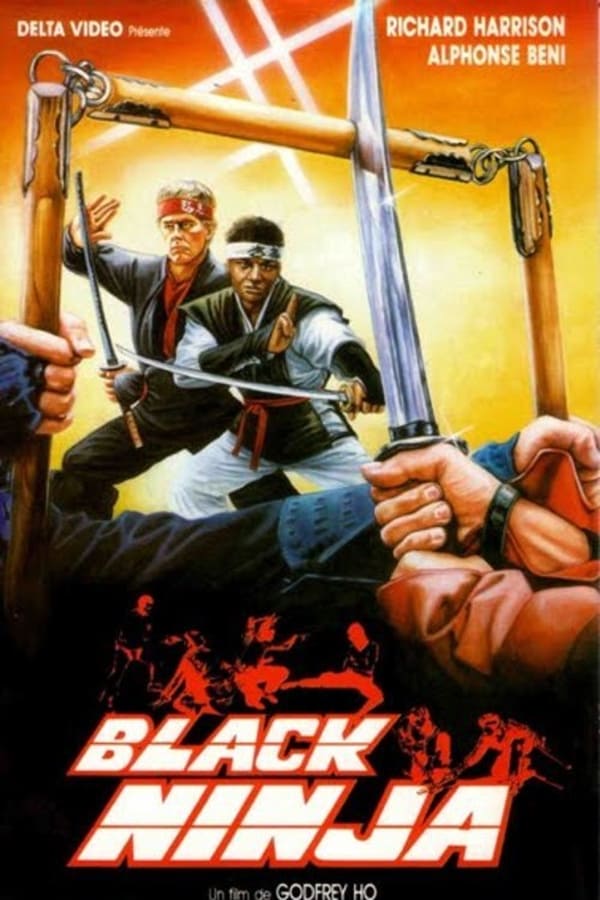 Ninja Knight Warrior
