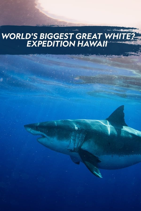 World’s Biggest Great White? Expedition Hawaii