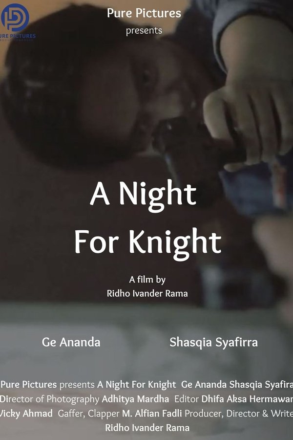 A Night For Knight