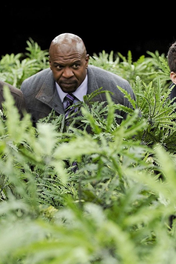 Brooklyn Nine-Nine – S03E16 – Ognuno al proprio posto