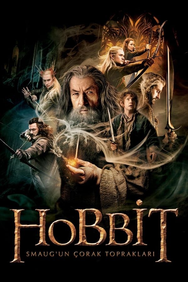 The Hobbit: The Desolation of Smaug (2013)