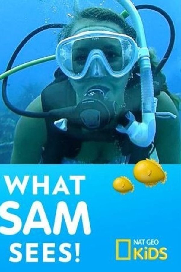 What Sam Sees What Sam Sees