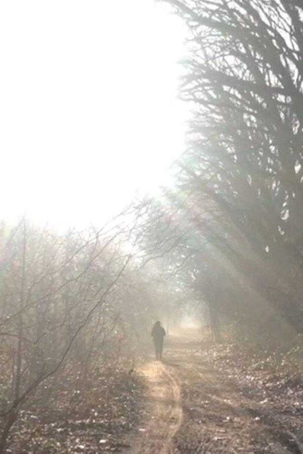 woodland
