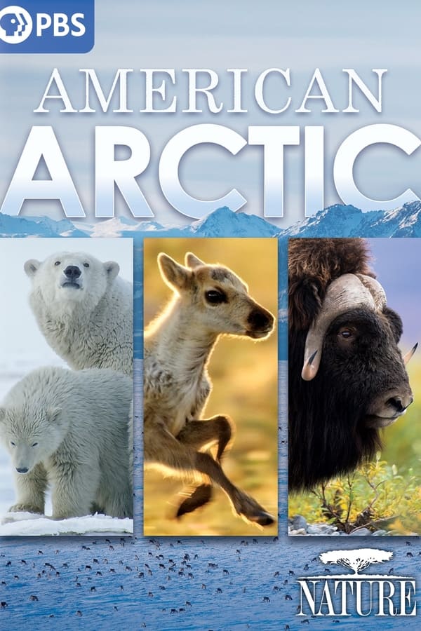 EN - Nature: American Arctic  (2022)