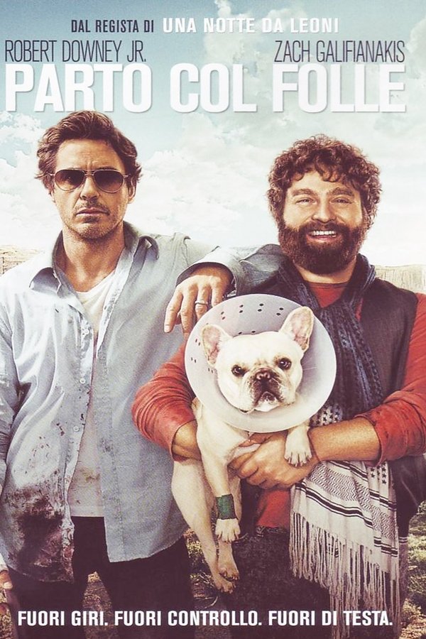 Parto col folle (2010)