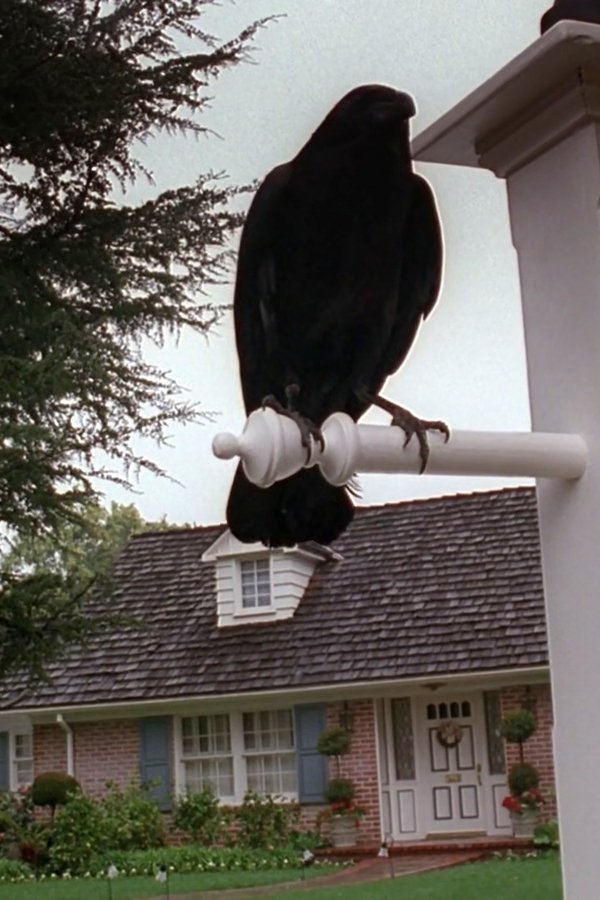 X-Files – S07E16 – Chimera