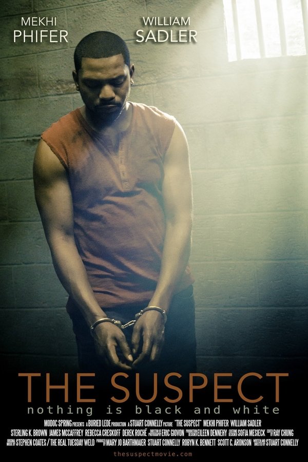 The Suspect (2013)