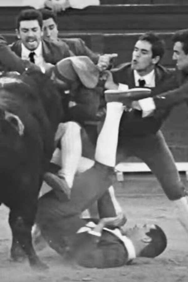 FR - Blood Brothers - 2015