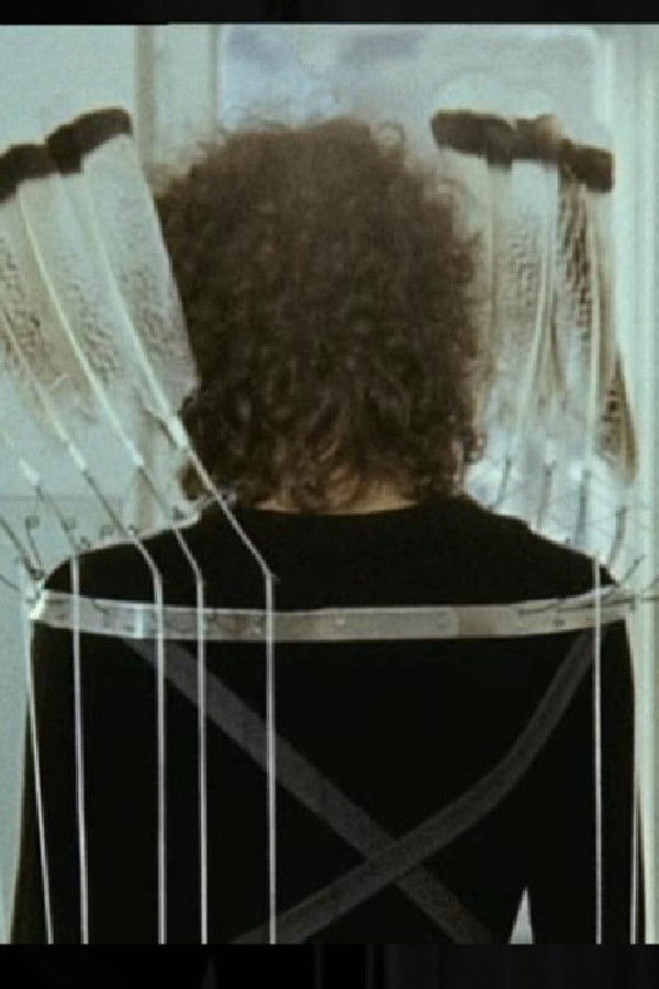 العرض الاسبوعي WWE 205 Live 2018.11.28