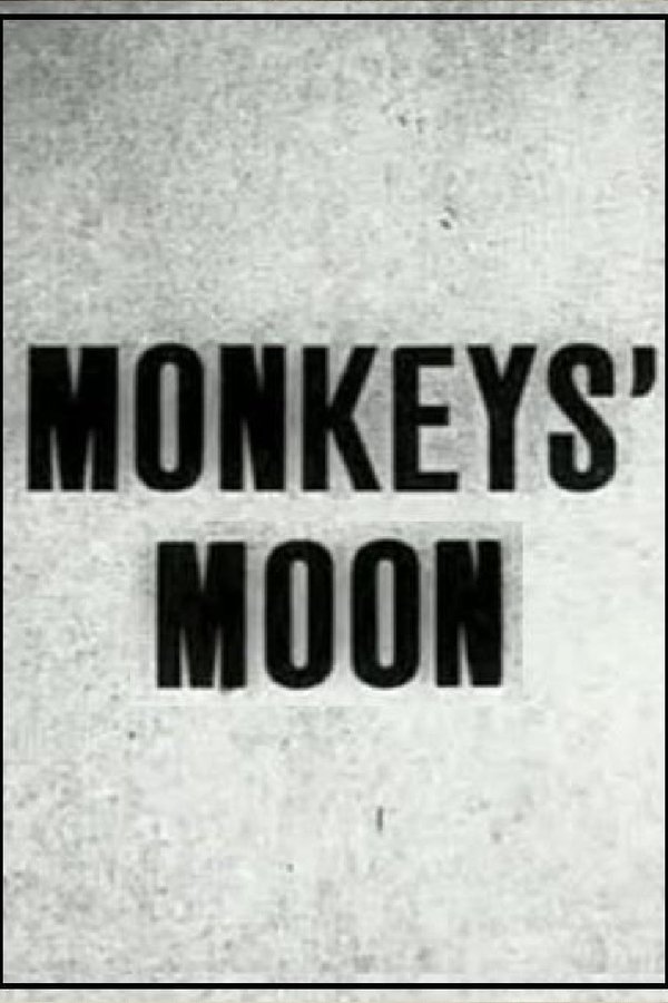 Monkey's Moon poster