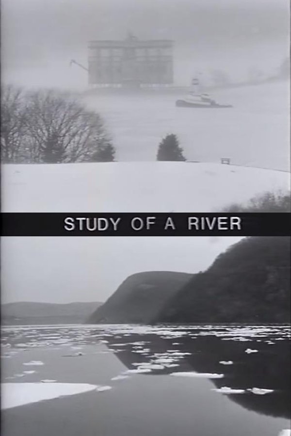 Study of a River poster