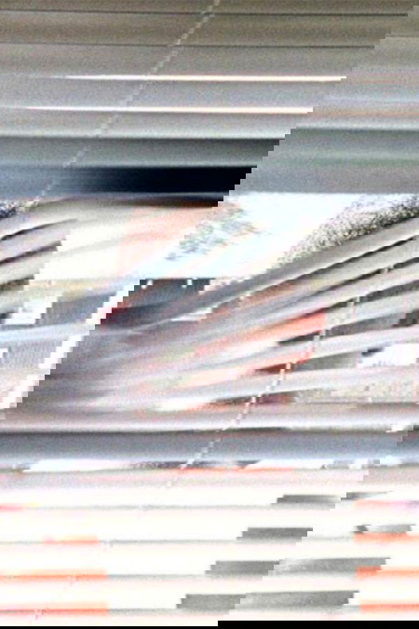 A Man Screaming Is Not a Dancing Bear