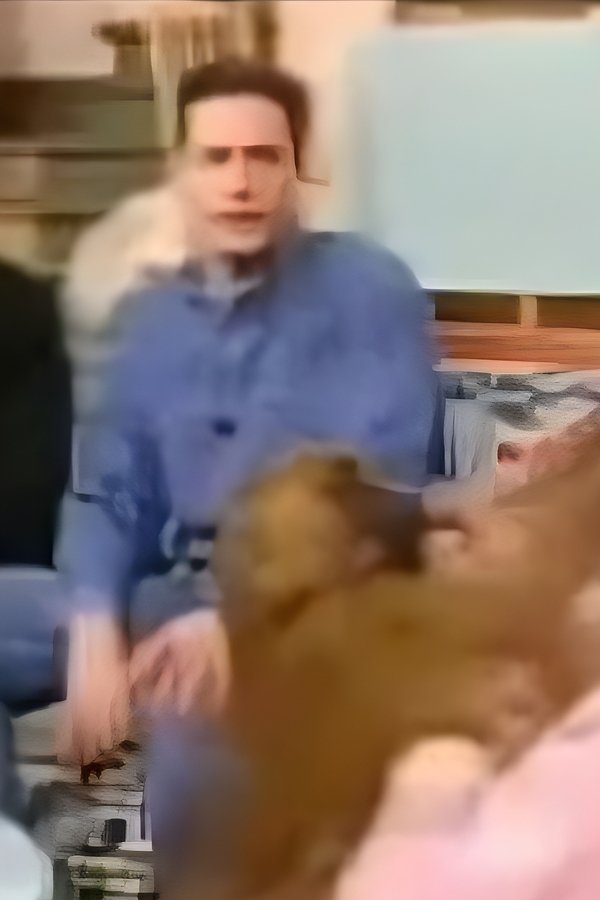 Samson en Gert: De Weesaap