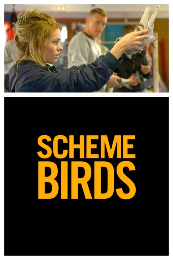 NL| Scheme Birds  (SUB)