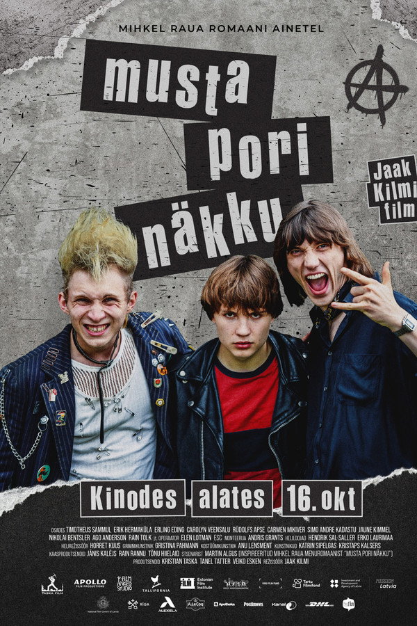 Musta pori näkku