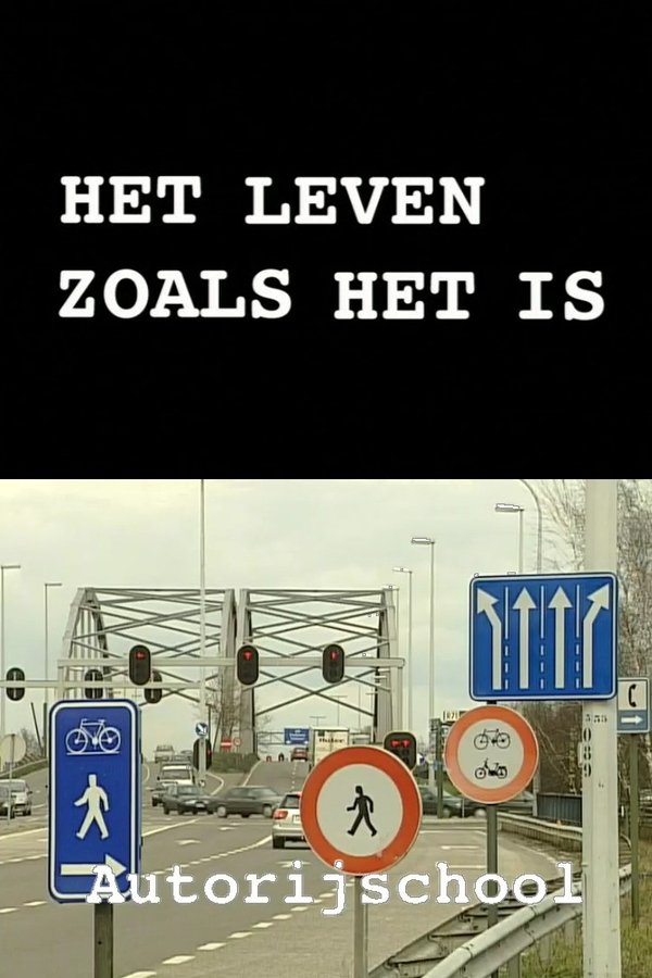 Het leven zoals het is: Autorijschool