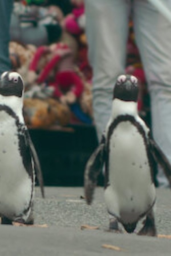 Il villaggio dei pinguini – S01E01 – Ritorno a casa