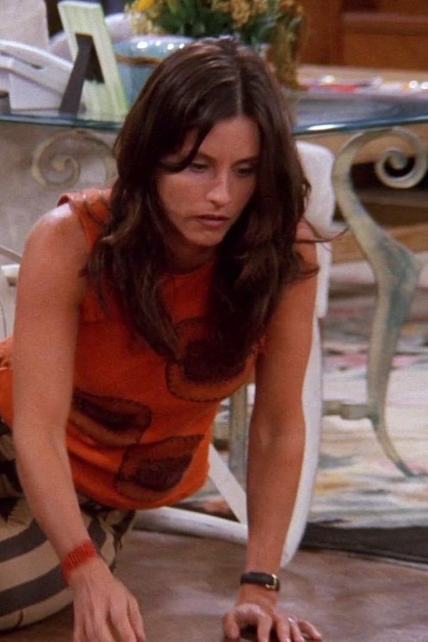 Friends – S08E07 – La casa ideale