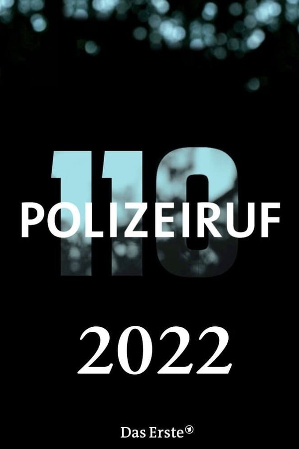 匪警110第51季