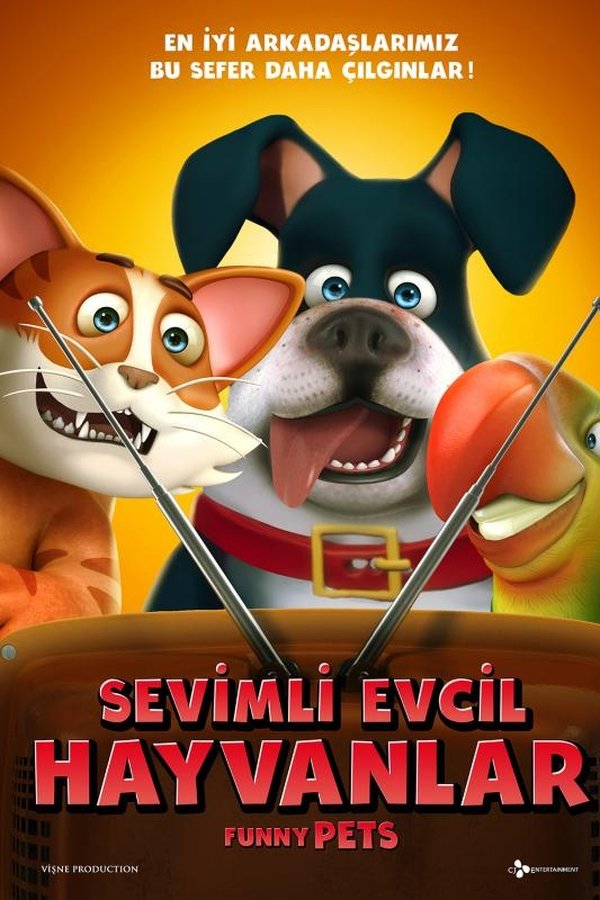 Sevimli Evcil Hayvanlar