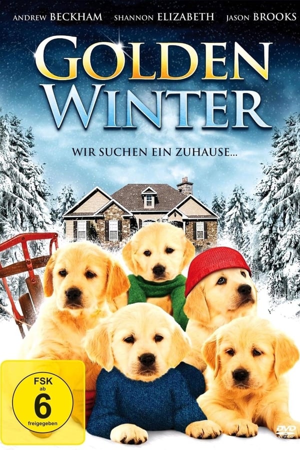 Golden Winter – Wir suchen ein Zuhause