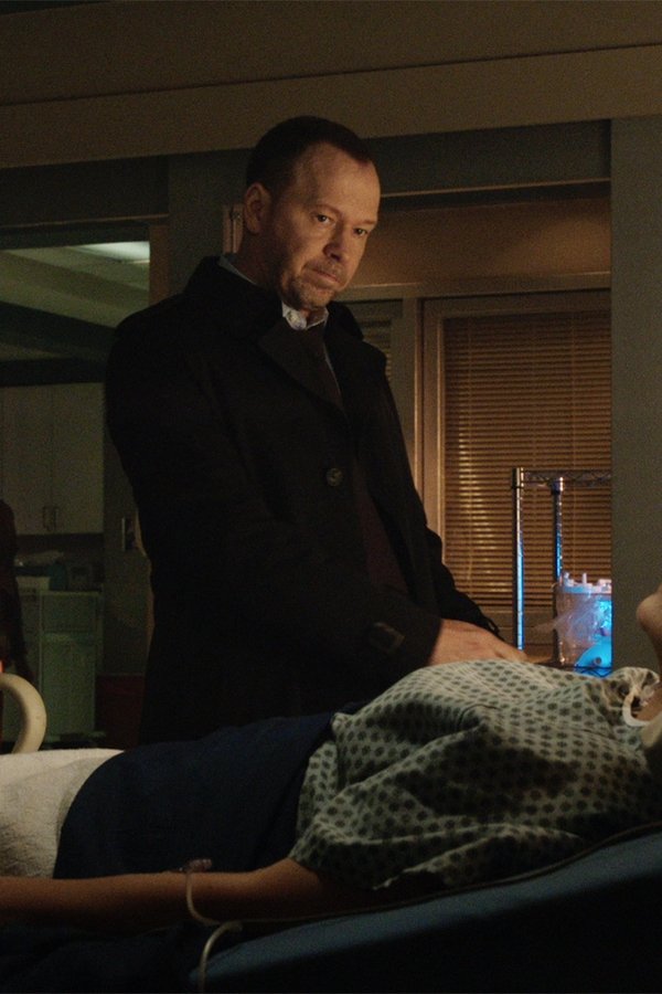 Blue Bloods – S08E09 – Antidolorifici