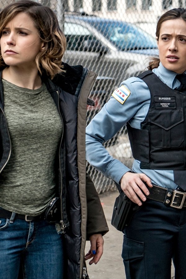 Chicago P.D. – S03E19 – Una storia torbida