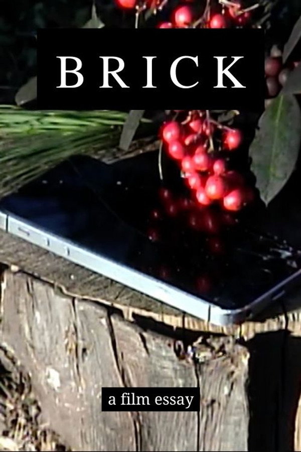 Brick – A film essay