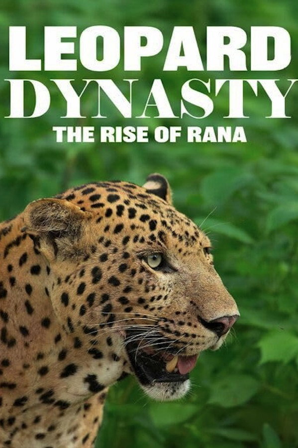 TVplus EN - Leopard Dynasty – The Rise of Rana (2025)