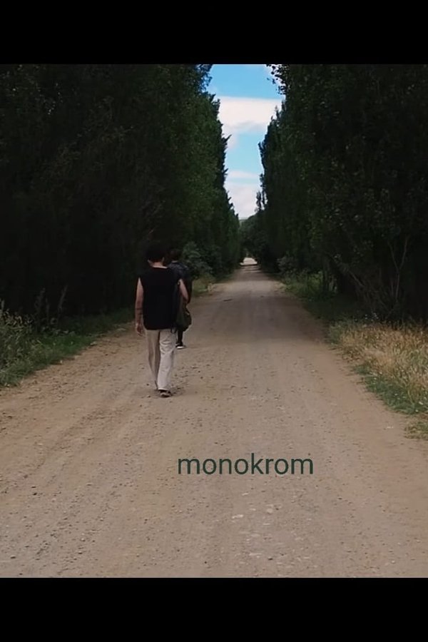Monokrom poster