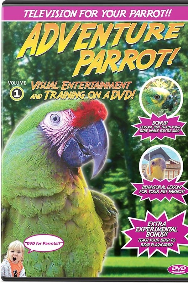Adventure Parrot!