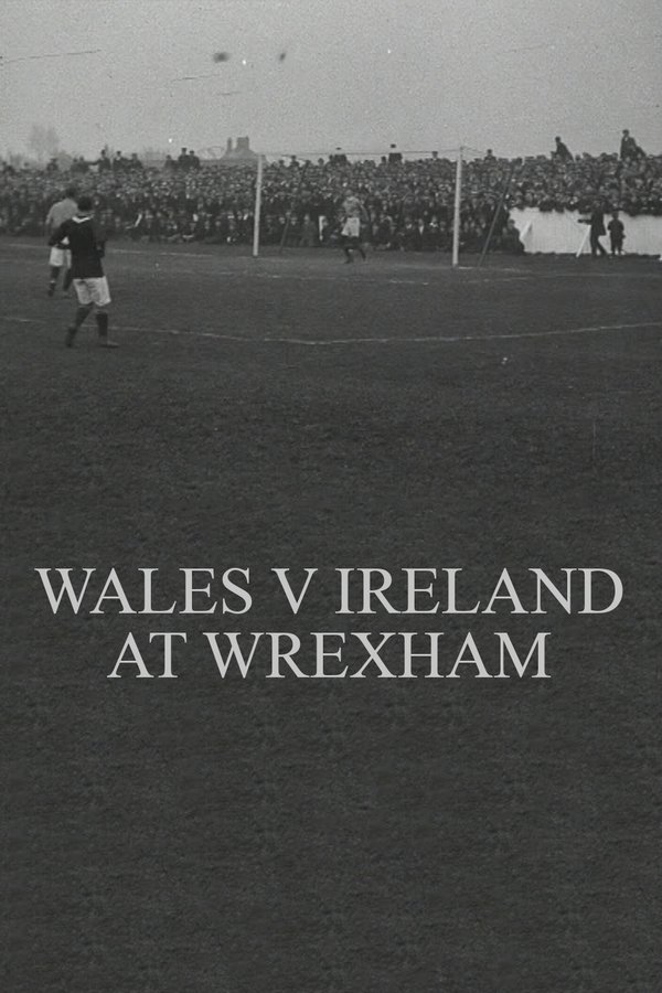 Wales v. Ireland at Wrexham poster