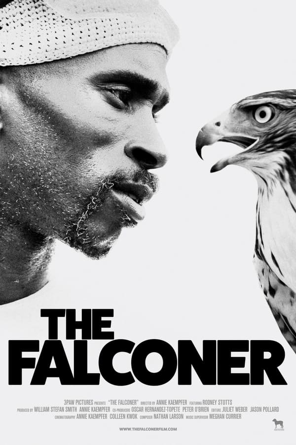 AR - The Falconer (2020)