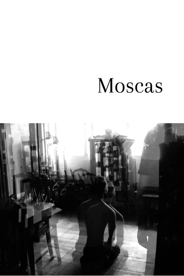 Moscas (2021)