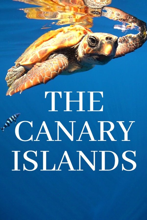 The Canary Islands poster
